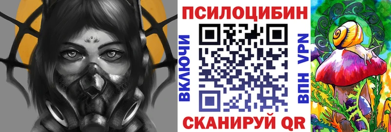 OMG рабочий сайт  даркнет телеграм  Псилоцибиновые грибы Psilocybine cubensis  Ахтырский 